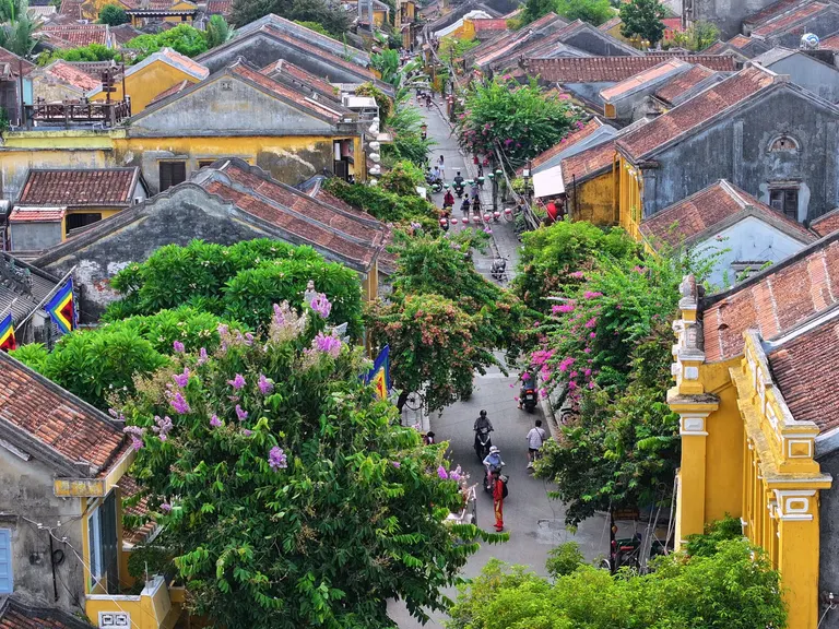 Rooftops and bougainvillea of Hoi An from above