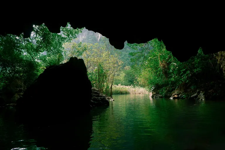 A river flowing out of a cave mouth into lush green forest in Phong Nha