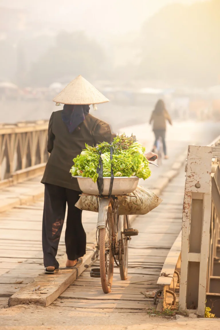 A woman in a conical hat pushing a bicycle of flowers across a wooden bridge in the morning mist
