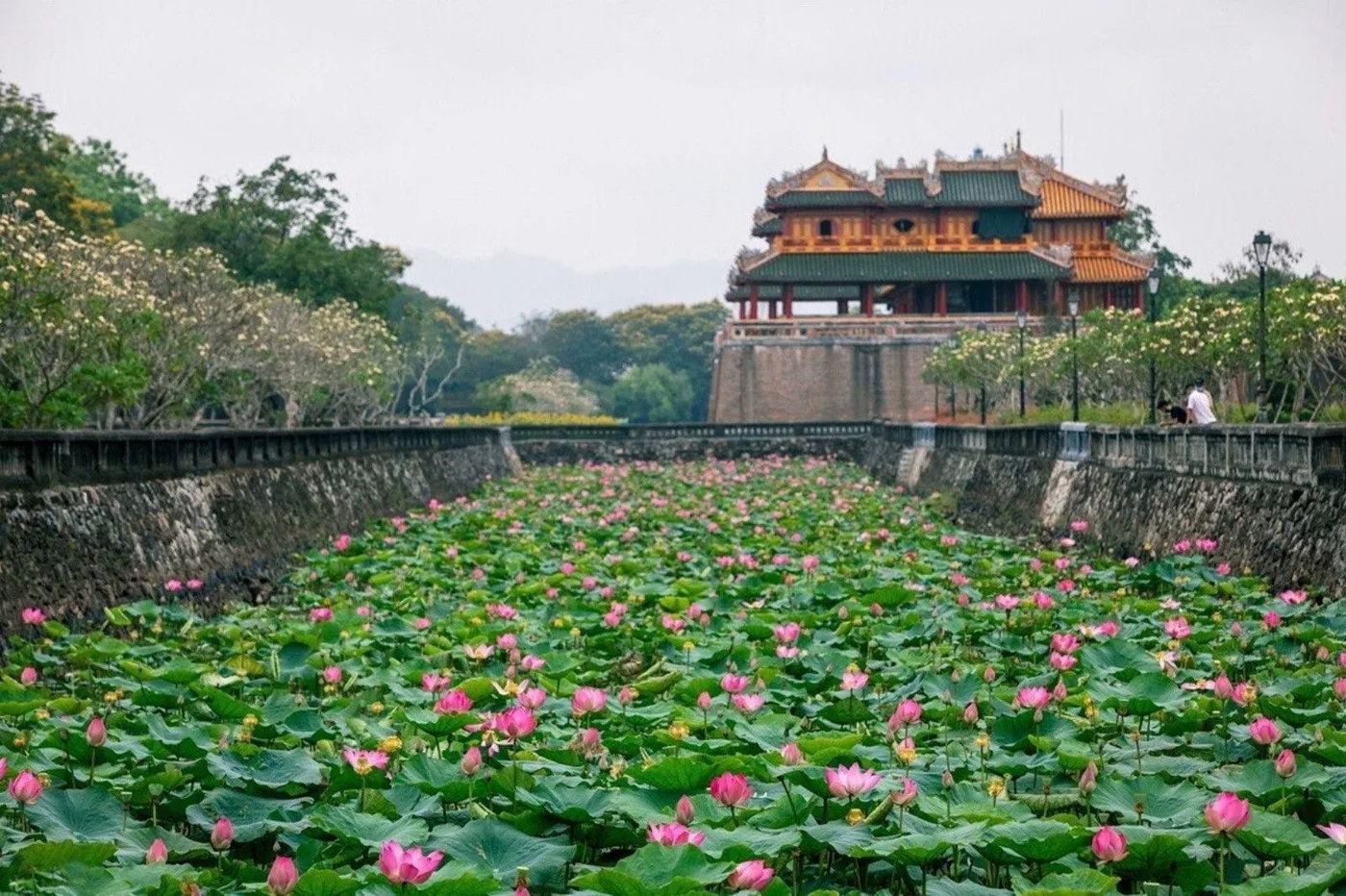 The Ngo Mon Gate rising above a moat of pink lotus flowers in Hue