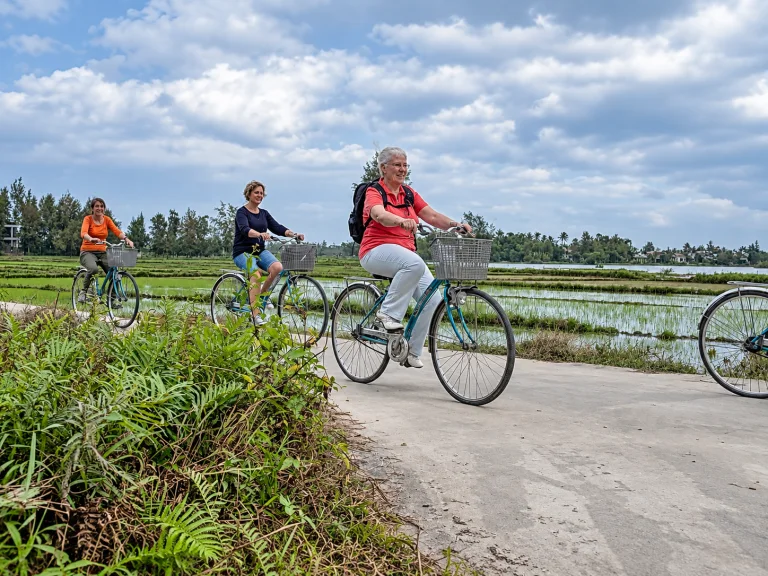 Three women cycling along a country lane beside green rice fields